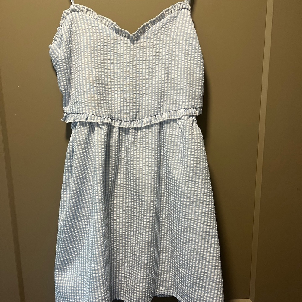 Blue Gingham Dress